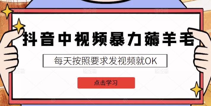 2022抖音中视频暴力薅羊毛白嫖项目：新号每天20块，老号几天几百块，可多号_北创网