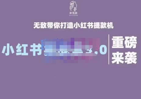 谢无敌·小红书实战营3.0，无敌带你打造小红书提款机 价值7999元_北创网