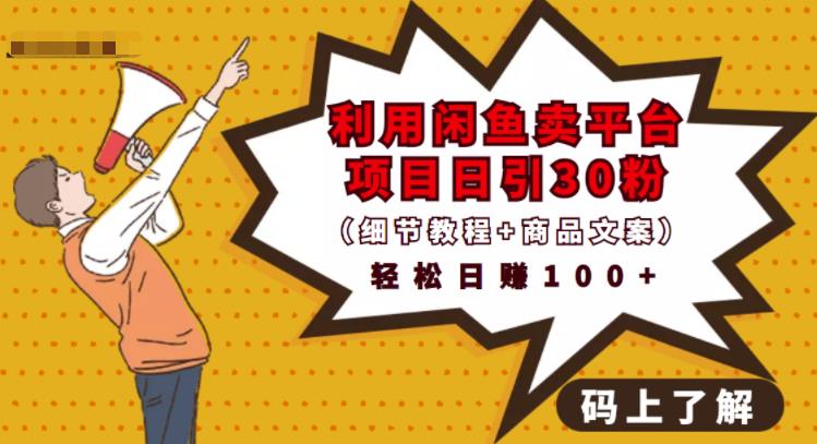 利用闲鱼卖平台项目课程资源日引流30 精准粉丝，轻松日赚100 ，积累人脉可实现二次变现（细节教程 商品文案）_北创网