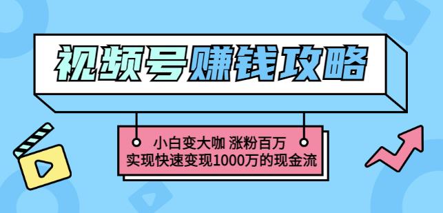玩转微信视频号赚钱：小白变大咖涨粉百万实现快速变现1000万的现金流_北创网