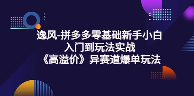 拼多多零基础新手小白入门到玩法实战《高溢价》异赛道爆单玩法实操课_北创网