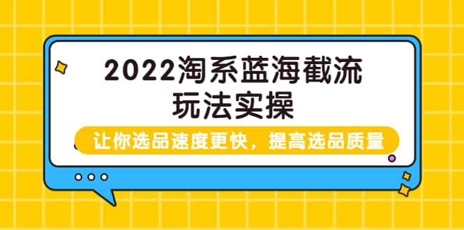 2022淘系蓝海截流玩法实操：让你选品速度更快，提高选品质量（价值599）_北创网