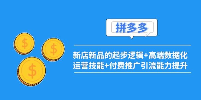 2022拼多多：新店新品的起步逻辑 高端数据化运营技能 付费推广引流能力提升_北创网