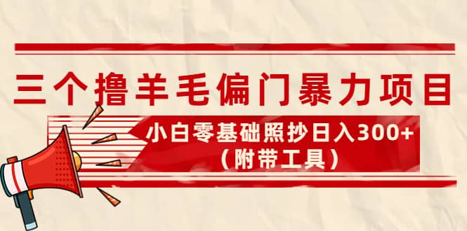外面卖998的三个撸羊毛项目，小白零基础照抄（附带工具）_北创网