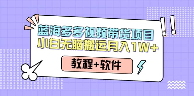 人人都能操作的蓝海多多视频带货项目 小白无脑搬运（教程 软件）_北创网