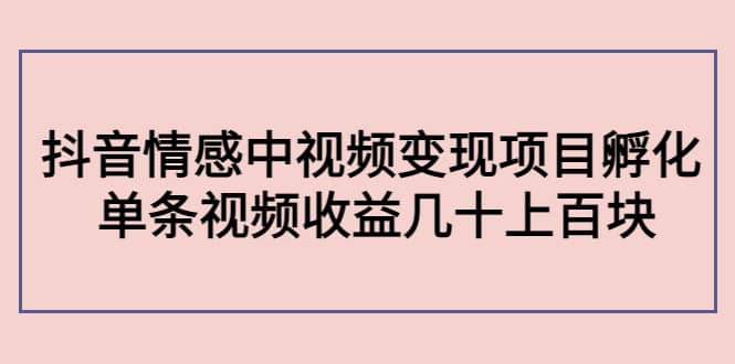 抖音情感中视频变现项目孵化_北创网