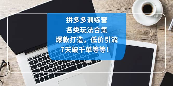 拼多多训练营：各玩法合集，爆款打造，低价引流，7天破千单等等_北创网