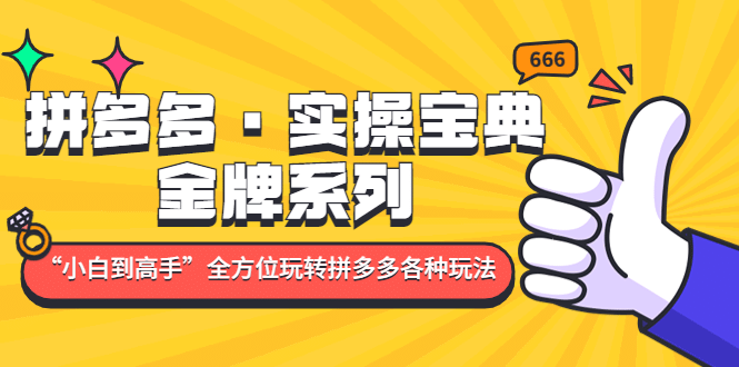 拼多多·实操宝典：金牌系列“小白到高手”带你全方位玩转拼多多各种玩法_北创网