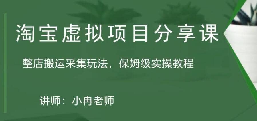 淘宝虚拟整店搬运采集玩法分享课：整店搬运采集玩法，保姆级实操教程_北创网