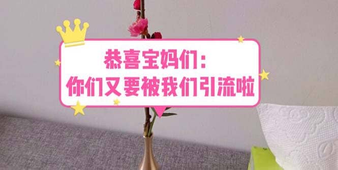 恭喜宝妈们：你们又要被我们引流了（教程 222g资料）_北创网