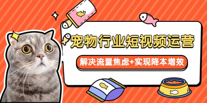 宠物/行业短视频运营 流量增长的一层窗户纸 解决流量焦虑 实现降本增效_北创网