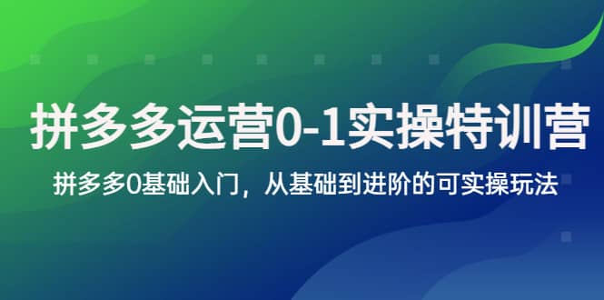 拼多多-运营0-1实操训练营，拼多多0基础入门，从基础到进阶的可实操玩法_北创网