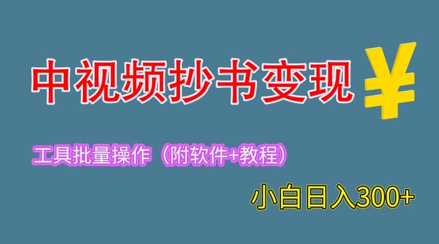 2023中视频抄书变现（附工具 教程），一天300 ，特别适合新手操作的副业_北创网