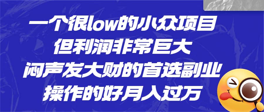 一个很low的小众项目，但利润非常巨大，闷声发大财的首选副业，月入过万_北创网