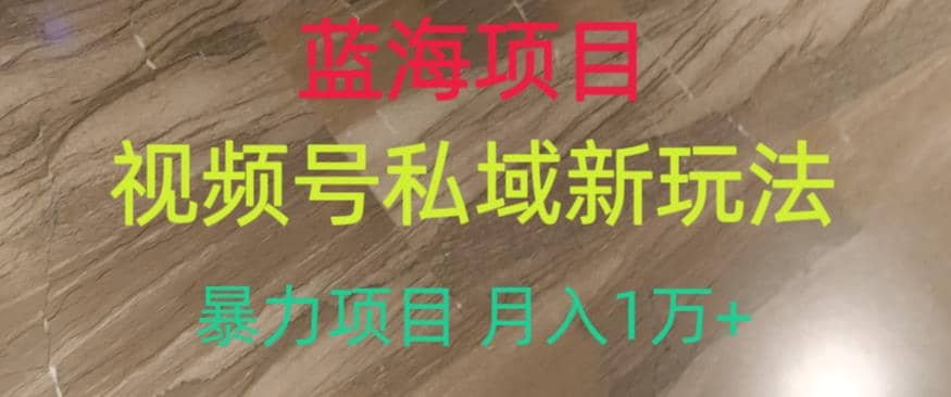 蓝海项目，视频号私域新玩法，暴力项目月入1万 【揭秘】_北创网