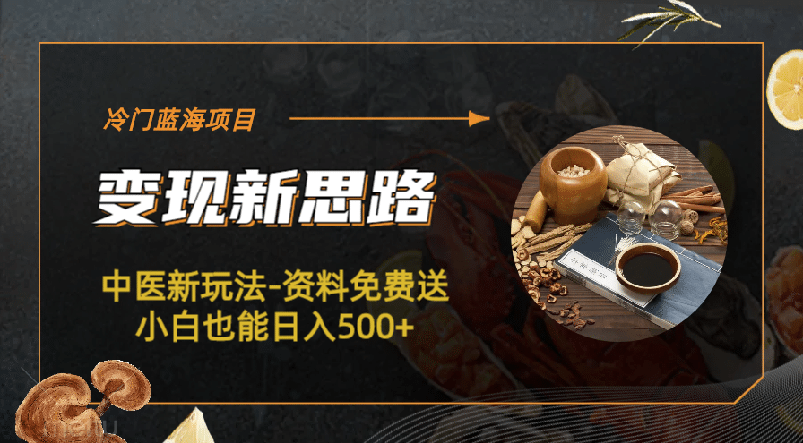 冷门蓝海项目-中医新玩法-冷门蓝海项目-中医新玩法-资料免费送小白也能日入500 500_北创网