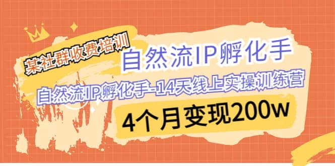 某社群收费培训：自然流IP 孵化手-14天线上实操训练营 4个月变现200w_北创网