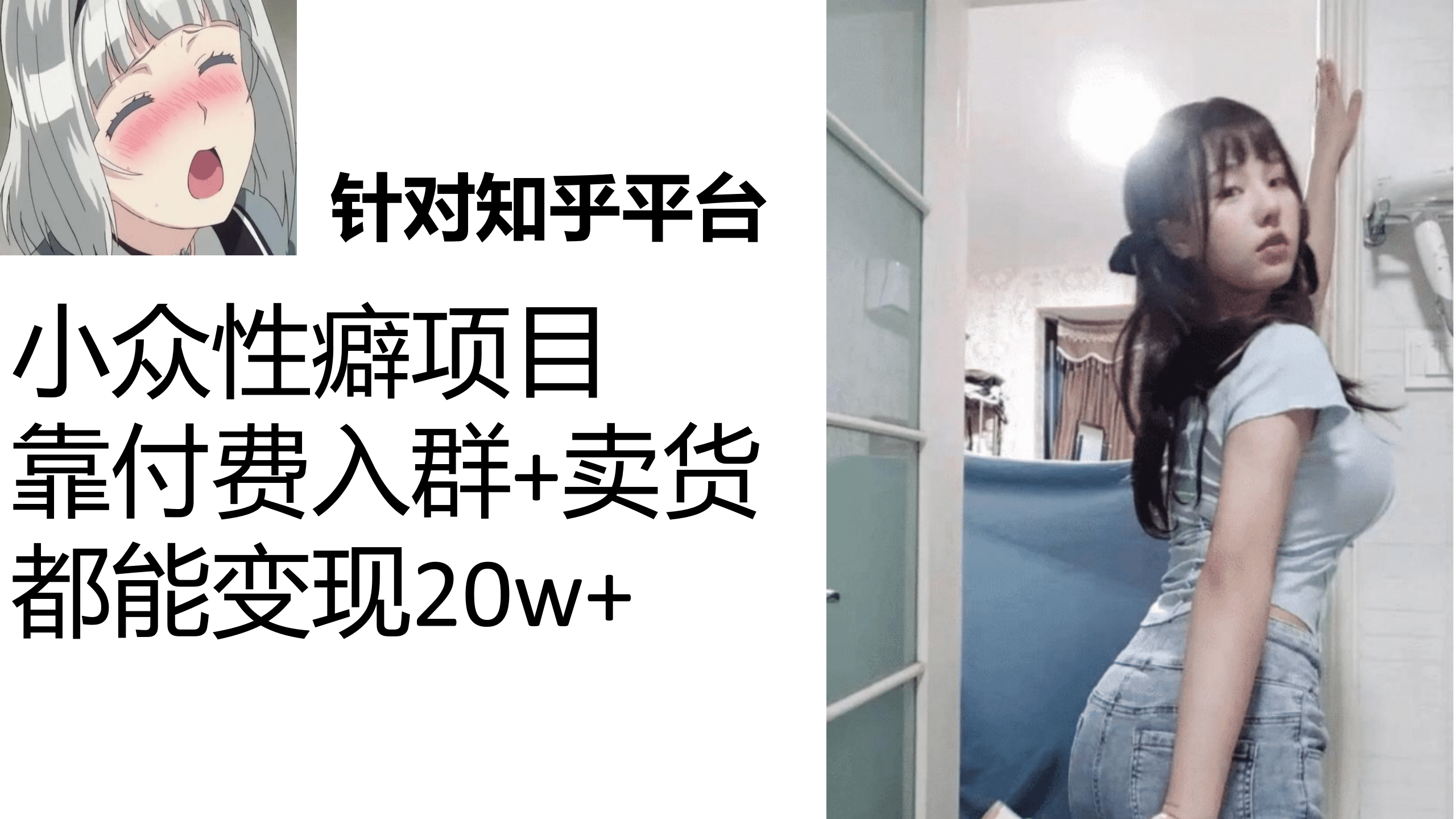 知乎小众性癖项目，Lsp的钱才是最好赚的，付费建群 卖货变现20w_北创网