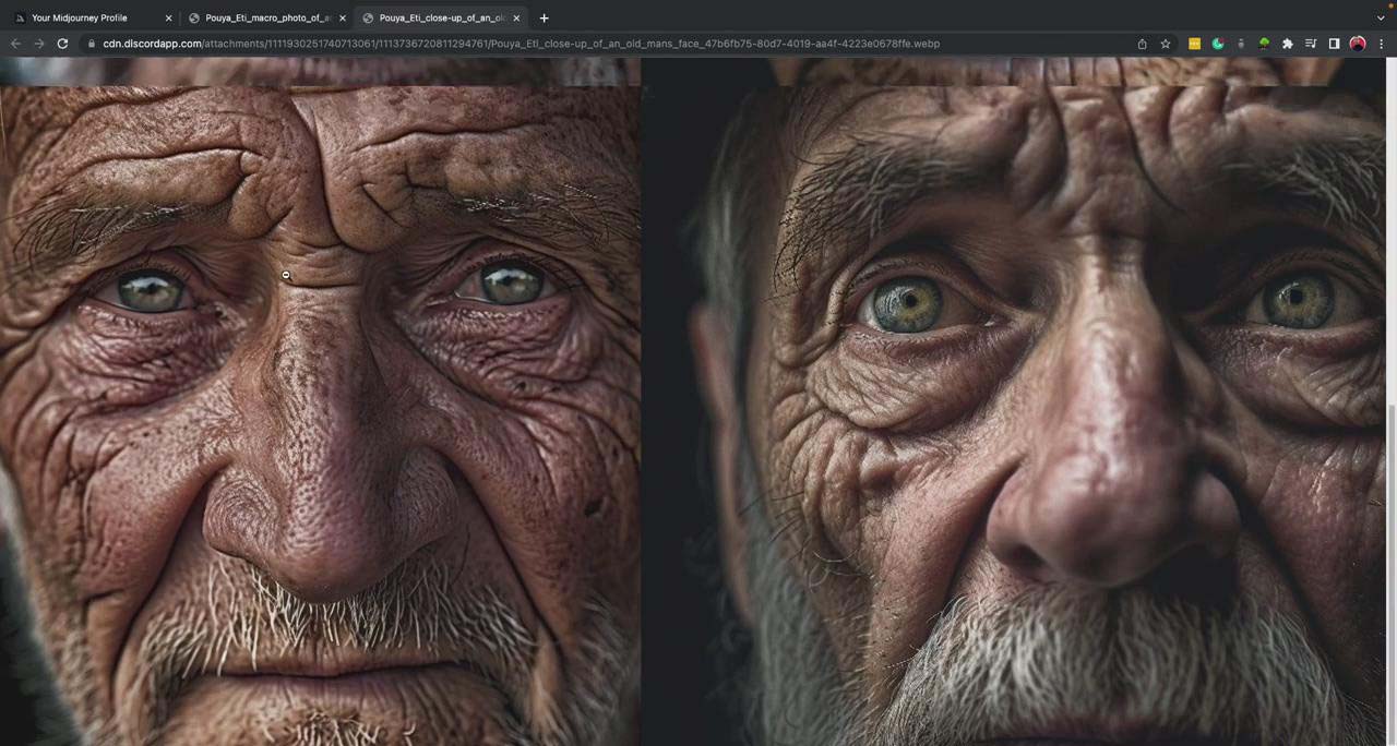 图片[11]_Midjourney, Adobe Firefly AI, ChatGPT 4大型AI人工智能-137节课-中英字幕_北创网