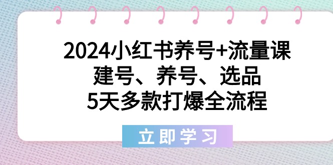 2024小红书养号+流量课：建号、养号、选品，5天多款打爆全流程_北创网