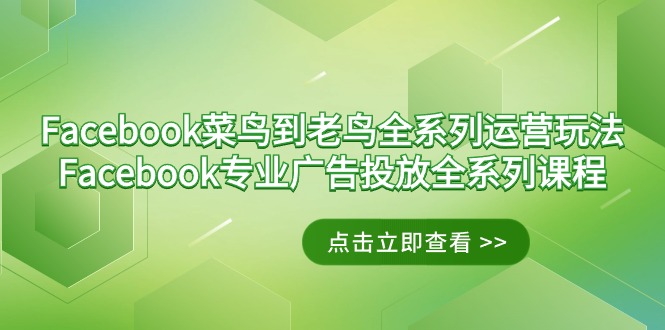 Facebook-菜鸟到老鸟全系列运营玩法+Facebook-专业广告投放全系列课程_北创网