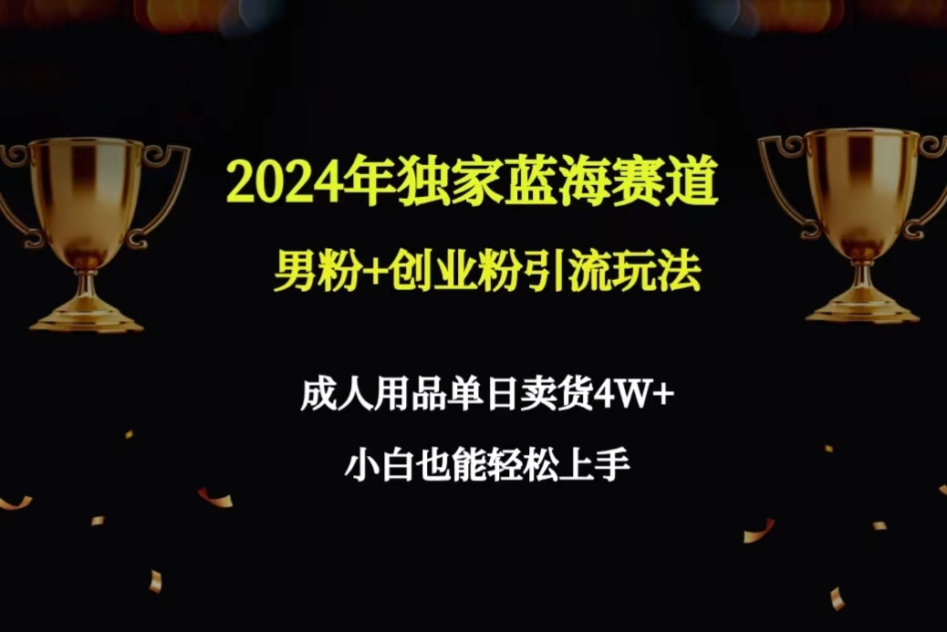 2024年独家蓝海赛道男粉+创业粉引流玩法，成人用品单日卖货4W+保姆教程_北创网