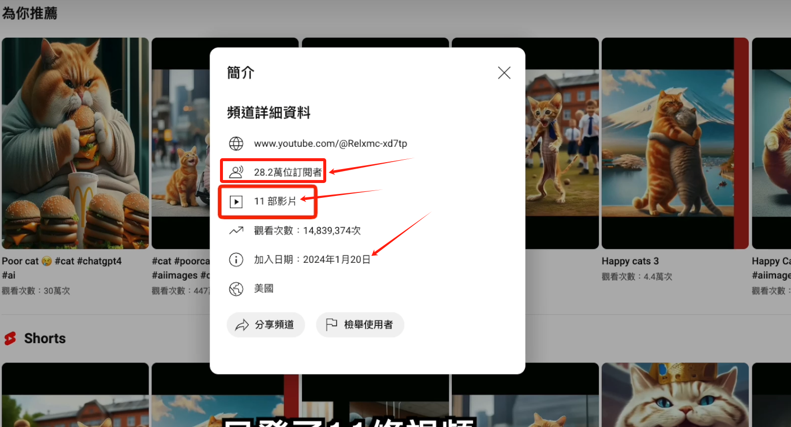 图片[2]_AI貓咪剧情号，30天涨粉100w，制作简单，一个视频全网分发，轻松月入1W+_北创网
