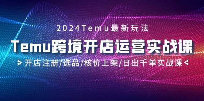 2024Temu跨境开店运营实战课，开店注册/选品/核价上架/日出千单实战课_北创网