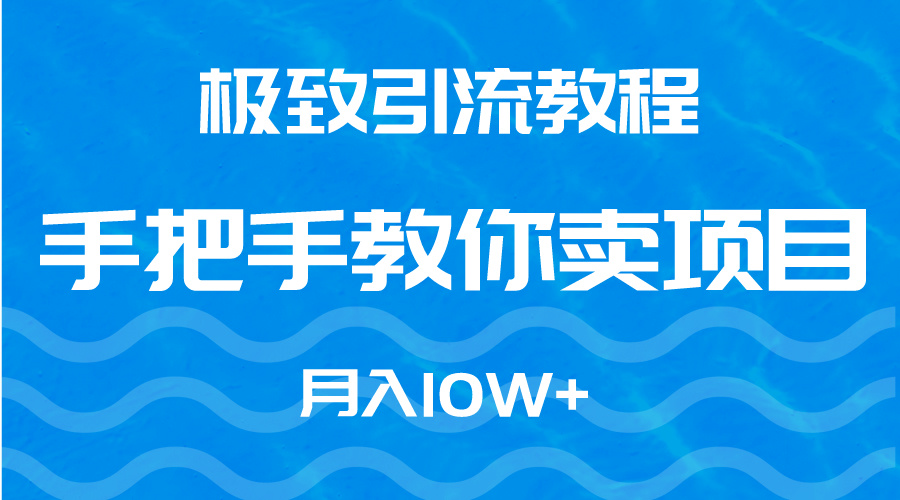 极致引流教程，手把手教你卖项目，月入10W+_北创网