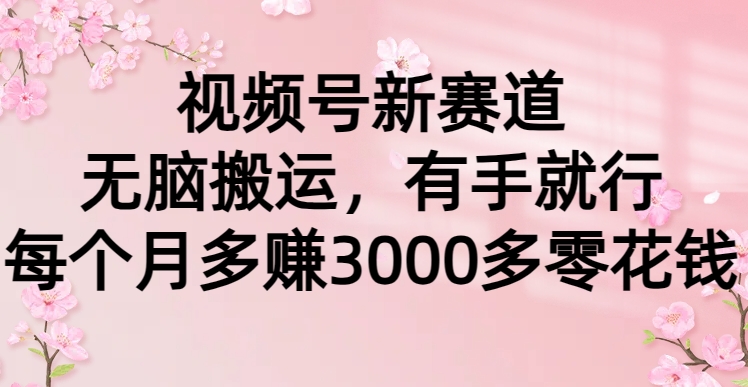 视频号新赛道，无脑搬运，有手就行，每个月多赚3000多零花钱_北创网