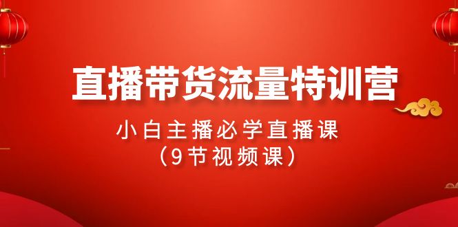 2024直播带货流量特训营，小白主播必学直播课（9节视频课）_北创网