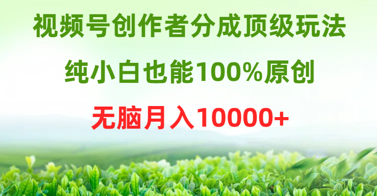 视频号创作者分成顶级玩法，纯小白也能100%原创，无脑月入10000+_北创网