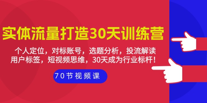 实体-流量打造-30天训练营：个人定位，对标账号，选题分析，投流解读-70节_北创网