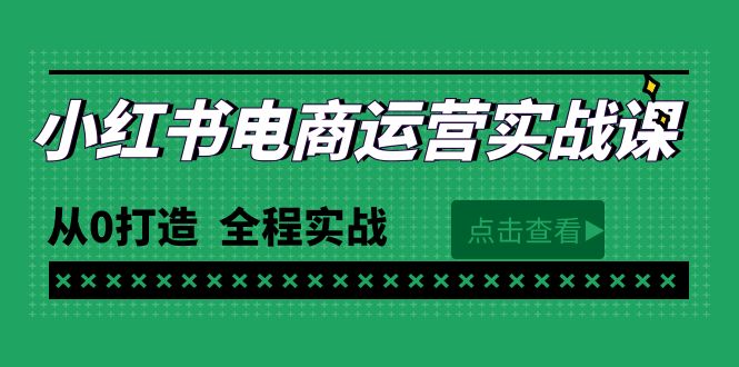 最新小红书·电商运营实战课，从0打造  全程实战（65节视频课）_北创网