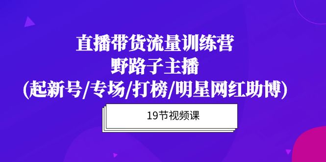 直播带货流量特训营，野路子主播(起新号/专场/打榜/明星网红助博)19节课_北创网