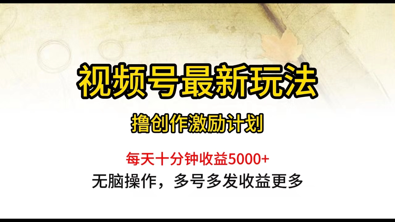 视频号最新玩法，每日一小时月入5000+_北创网
