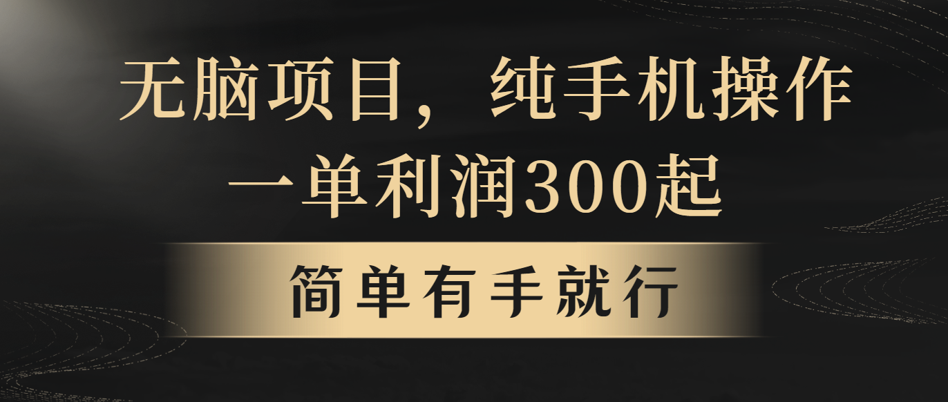 无脑项目，一单几百块，轻松月入5w+，看完就能直接操作_北创网