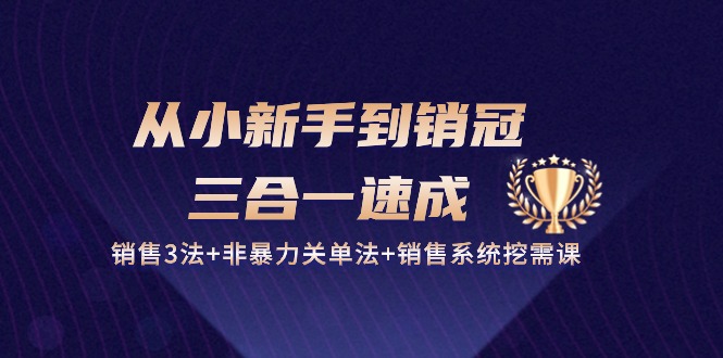 从小新手到销冠 三合一速成：销售3法+非暴力关单法+销售系统挖需课 (27节)_北创网