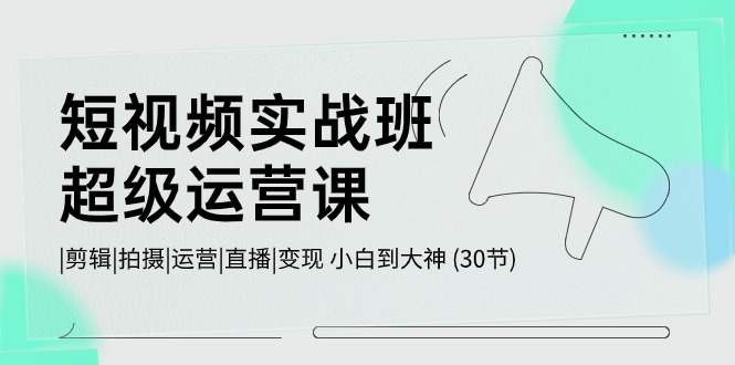 短视频实战班-超级运营课，|剪辑|拍摄|运营|直播|变现 小白到大神 (30节)_北创网