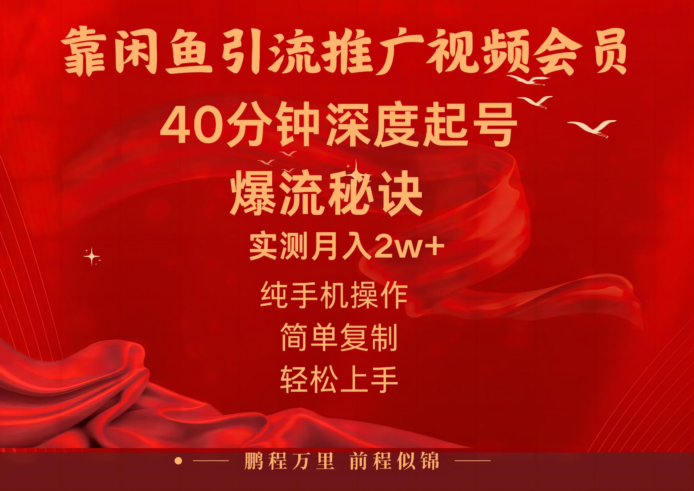 闲鱼暴力引流推广视频会员，能做到日入2W+，操作简单_北创网