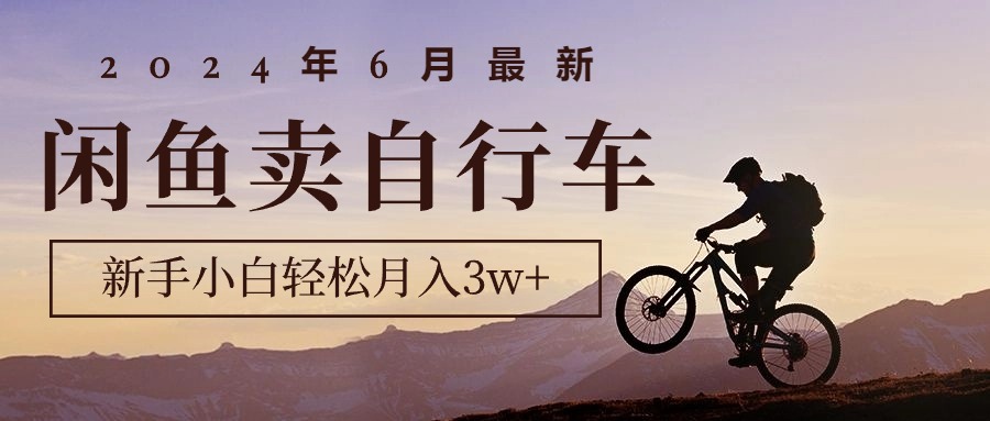 2024年6月最新闲鱼卖自行车，新手小白轻松月入3w+项目_北创网