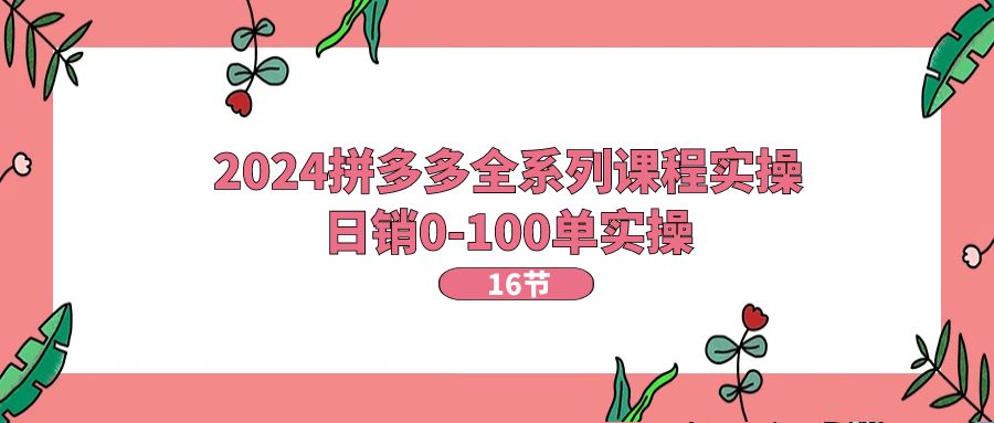 2024拼多多全系列课程实操，日销0-100单实操【16节课】_北创网