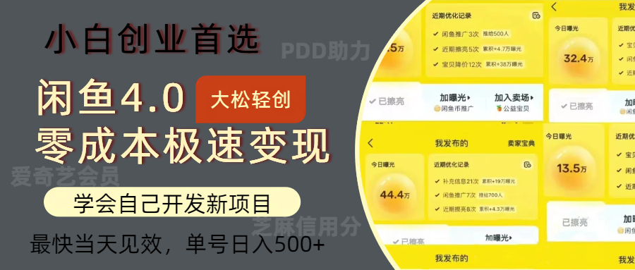 闲鱼0成本极速变现项目，多种变现方式 单号日入500+最新玩法_北创网