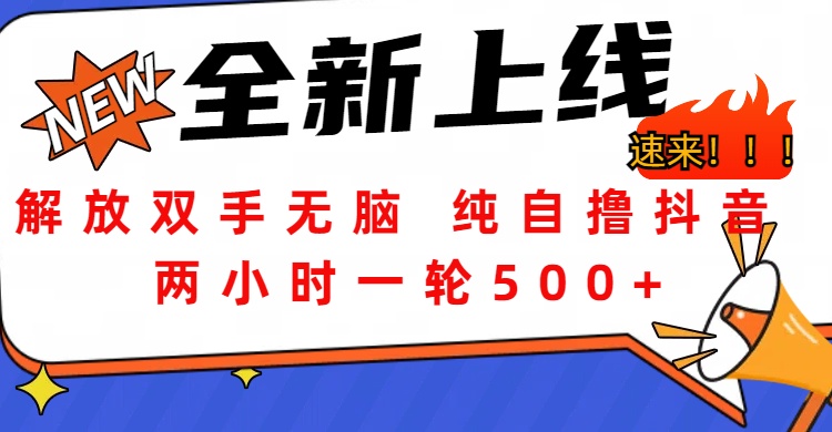 解放双手无脑 纯自撸抖音 两小时一轮500+_北创网