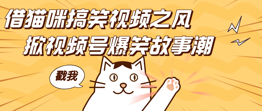 借猫咪搞笑视频之风，掀视频号爆笑故事潮，轻松日赚四位数，开启无门槛赚钱新体验！_北创网