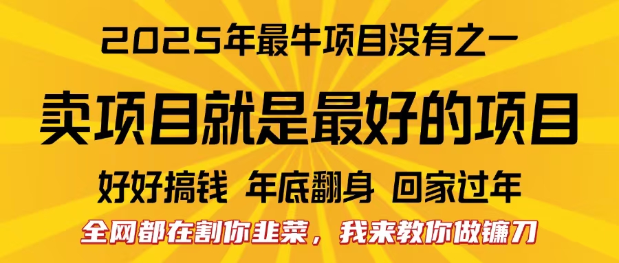 全网都在割你韭菜，我来教你做镰刀。卖项目就是最好的项目，2025年最牛互联网项目_北创网