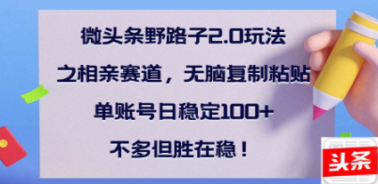 全网首发微头条野路子2.0玩法之相亲赛道，无脑搬砖复制粘贴，单账号日稳定300+保姆级教程_北创网