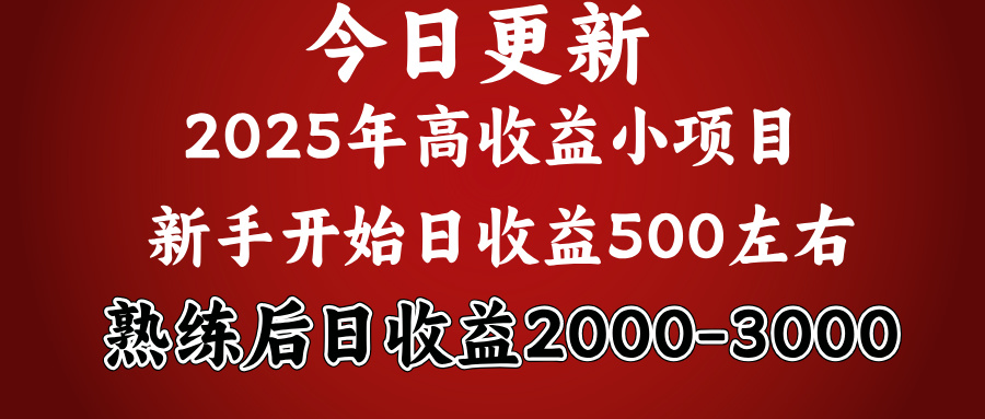好项目一眼就能看出来，日收益1000，长久可做，2025拼的就是我比你勤奋_北创网