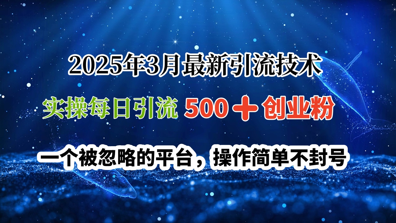 2025年3月最新引流技术，实操每日引流500➕创业粉，一个被忽略的平台，操作简单不封号_北创网