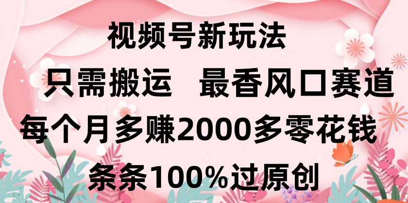 日入2000+，条条100%过原创，视频号最香风口赛道，小白轻松上手_北创网